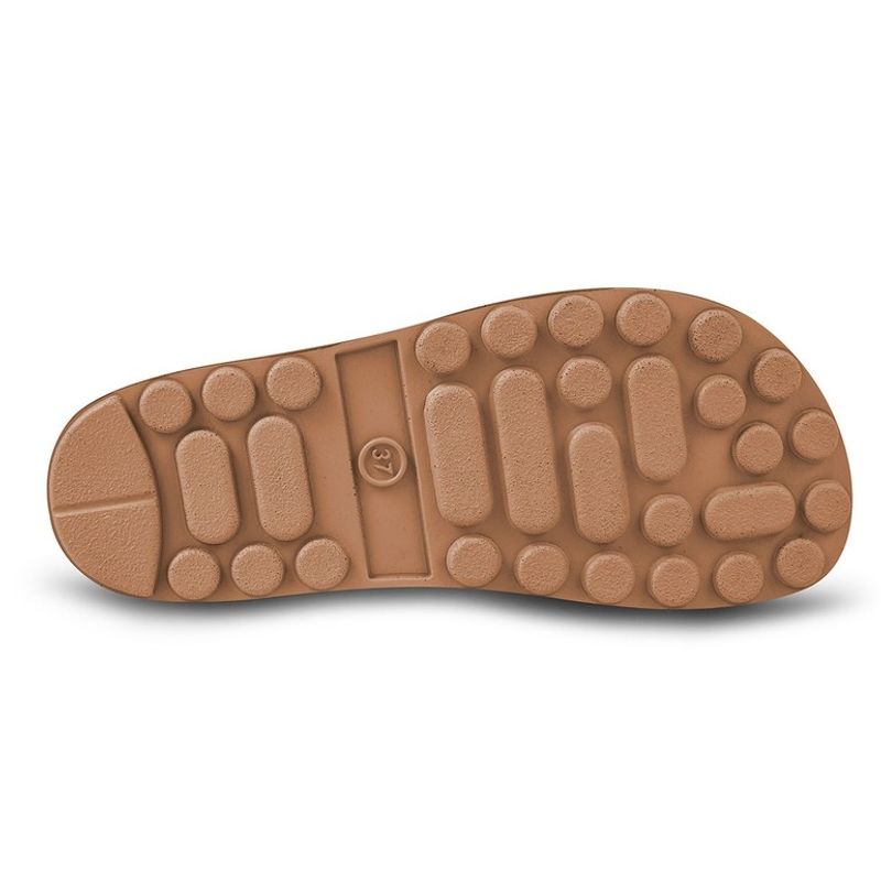 Fantasy Desponia Aragosta brush, skinn